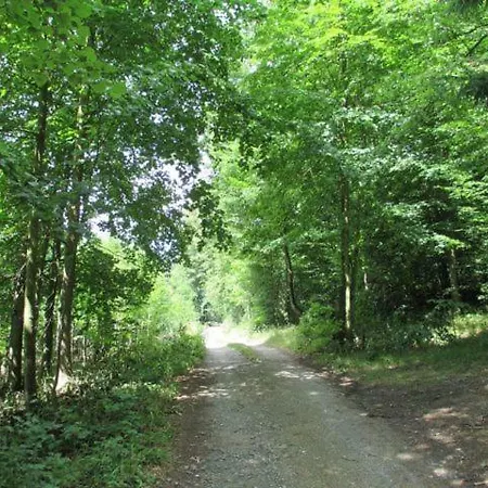 Vranov Stausee Na Dyje Holiday home Oslnovice