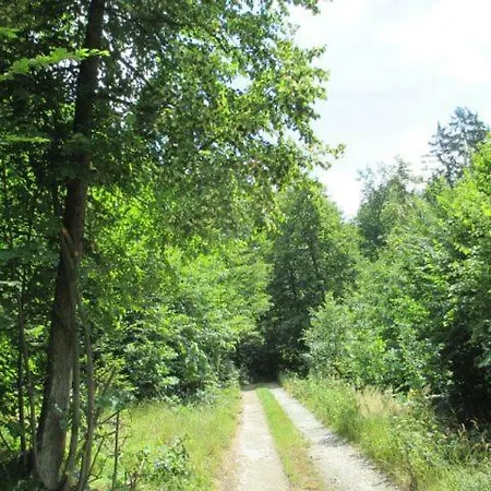 Vranov Stausee Na Dyje