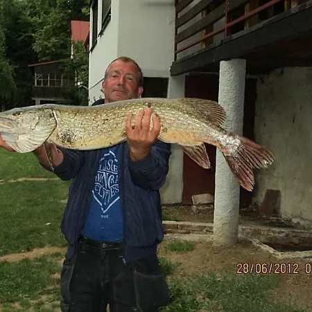 Vranov Stausee Na Dyje Holiday home