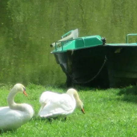Vranov Stausee Na Dyje Oslnovice